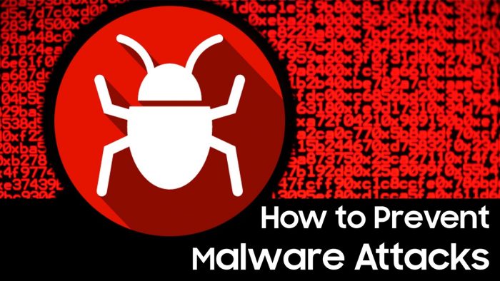 Tips for Malware Prevention During the Pandemic