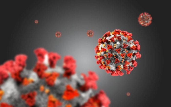 Implementation of guidelines issued by Government on COVID 19 pandemic