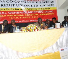 ????????????????????????????????????